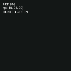 #131816 - Hunter Green Color Image